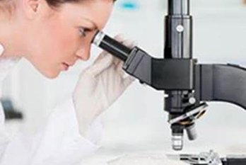 Camden County attic bathroom crawl space mold inspection and testing services Cherry Hill NJ 08034 