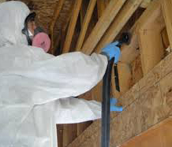 closet crawl space bathroom mold inspection and testing services in Cherry Hill NJ 08034